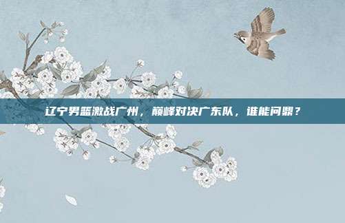辽宁男篮激战广州，巅峰对决广东队，谁能问鼎？