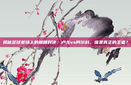 揭秘足球赛场上的巅峰对决:卢戈vs阿尔科,谁是真正的王者?