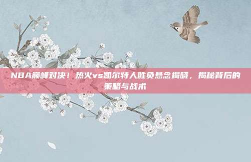 NBA巅峰对决！热火vs凯尔特人胜负悬念揭晓，揭秘背后的策略与战术