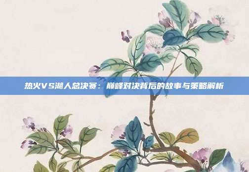 热火VS湖人总决赛：巅峰对决背后的故事与策略解析