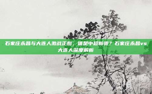 石家庄永昌与大连人激战正酣，谁是中超新贵？石家庄永昌vs大连人深度解析