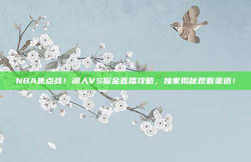 NBA焦点战！湖人VS掘金直播攻略，独家揭秘观看渠道！