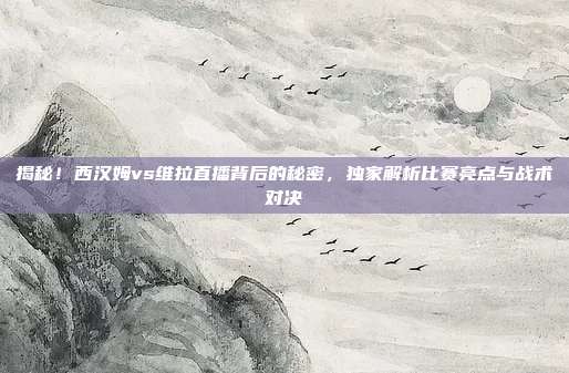 揭秘！西汉姆vs维拉直播背后的秘密，独家解析比赛亮点与战术对决
