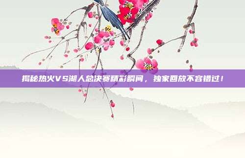 揭秘热火VS湖人总决赛精彩瞬间，独家回放不容错过！