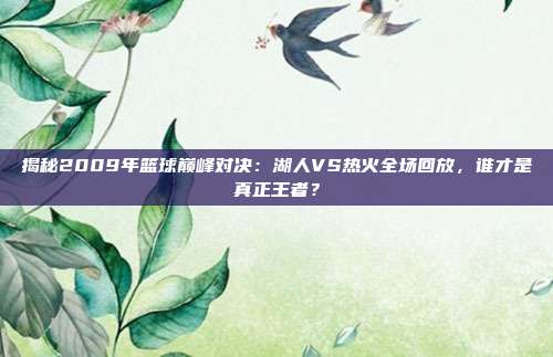 揭秘2009年篮球巅峰对决：湖人VS热火全场回放，谁才是真正王者？