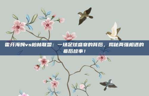霍芬海姆vs柏林联盟：一场足球盛宴的背后，揭秘两强相遇的幕后故事！