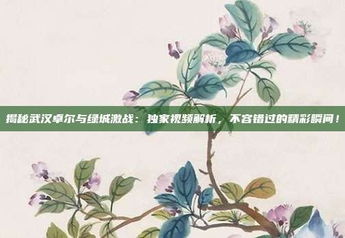 揭秘武汉卓尔与绿城激战：独家视频解析，不容错过的精彩瞬间！