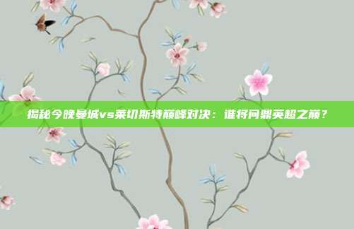 揭秘今晚曼城vs莱切斯特巅峰对决：谁将问鼎英超之巅？