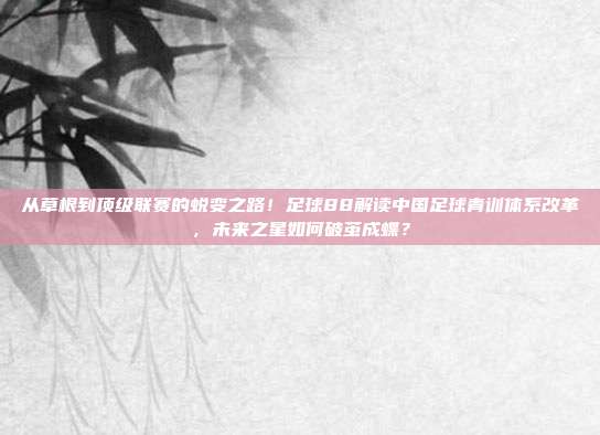 从草根到顶级联赛的蜕变之路！足球88解读中国足球青训体系改革，未来之星如何破茧成蝶？