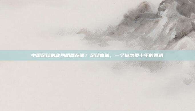 中国足球的救命稻草在哪？足球青训，一个被忽视十年的真相