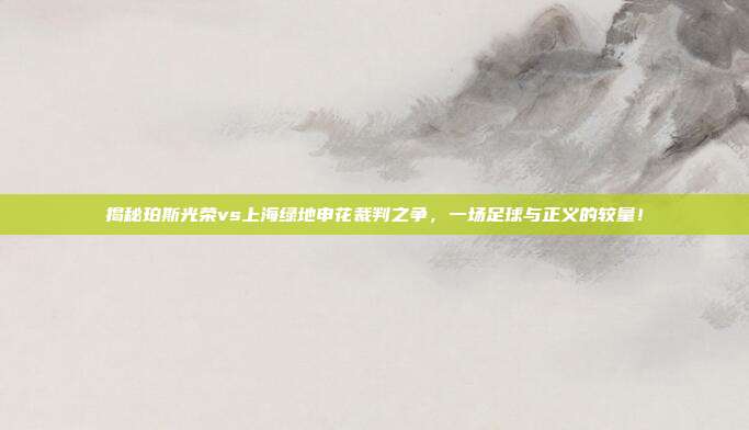 揭秘珀斯光荣vs上海绿地申花裁判之争，一场足球与正义的较量！