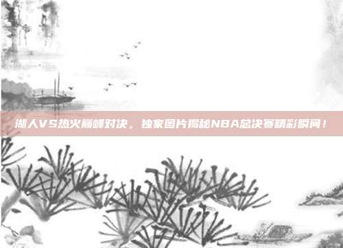 湖人VS热火巅峰对决,独家图片揭秘NBA总决赛精彩瞬间!