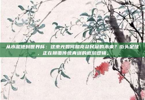 从水泥地到世界杯：这束光如何照亮贫民窟的未来？街头足球，正在颠覆传统青训的底层逻辑。