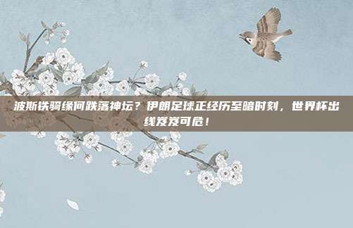 波斯铁骑缘何跌落神坛？伊朗足球正经历至暗时刻，世界杯出线岌岌可危！