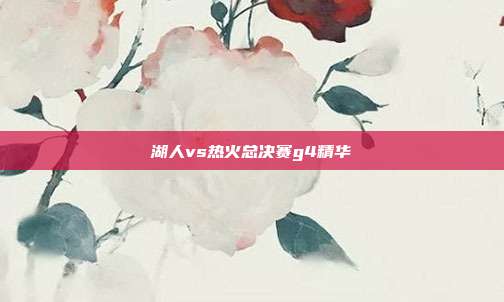 湖人vs热火总决赛g4精华