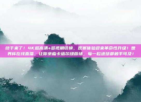 终于来了！4K超高清+多视角切换，观赛体验迎来革命性升级！世界杯在线直播，让你亲临卡塔尔绿茵场，每一粒进球都触手可及！