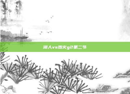 湖人vs热火g2第二节