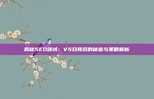 揭秘SEO领域:VS日背后的秘密与策略解析