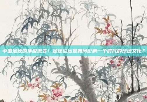 中国足球的顶级流变！足球论坛是如何影响一个时代的球迷文化？