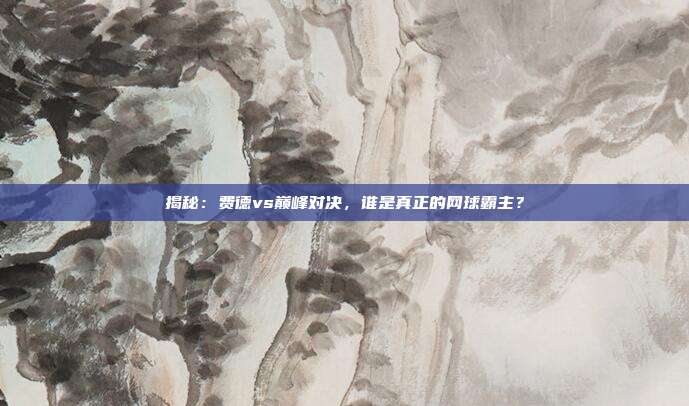 揭秘：费德vs巅峰对决，谁是真正的网球霸主？