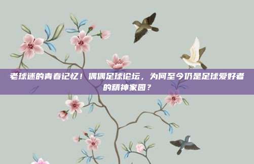 老球迷的青春记忆！偶偶足球论坛，为何至今仍是足球爱好者的精神家园？
