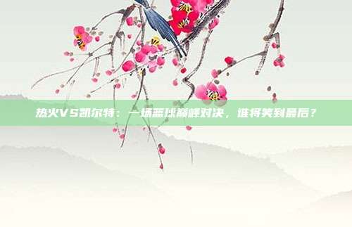 热火VS凯尔特:一场篮球巅峰对决,谁将笑到最后?