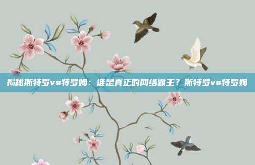 揭秘斯特罗vs特罗姆:谁是真正的网络霸主?斯特罗vs特罗姆