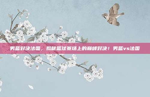 男篮对决法国，揭秘篮球赛场上的巅峰对决！男篮vs法国