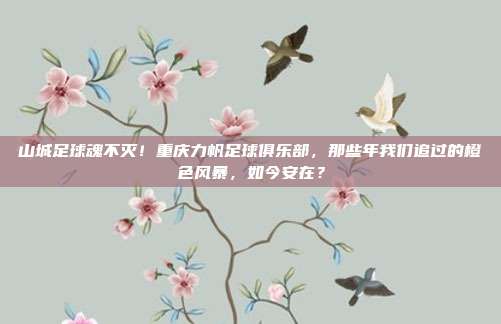 山城足球魂不灭！重庆力帆足球俱乐部，那些年我们追过的橙色风暴，如今安在？