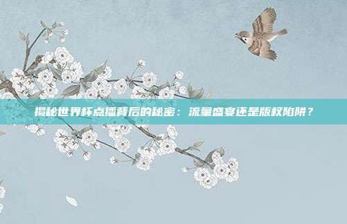揭秘世界杯点播背后的秘密：流量盛宴还是版权陷阱？