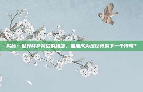 揭秘：世界杯尹背后的秘密，谁能成为足球界的下一个传奇？