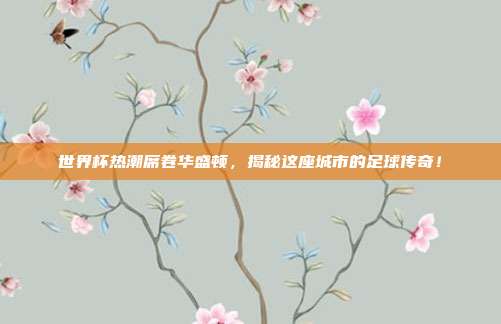 世界杯热潮席卷华盛顿，揭秘这座城市的足球传奇！