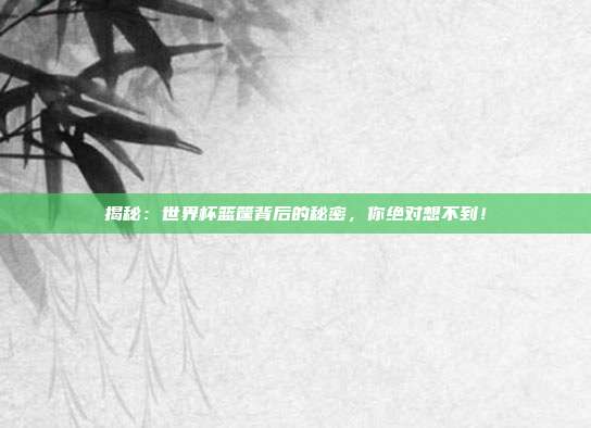 揭秘：世界杯篮筐背后的秘密，你绝对想不到！