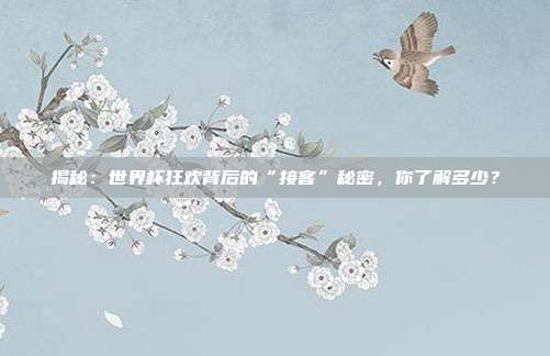 揭秘:世界杯狂欢背后的“接客”秘密,你了解多少?