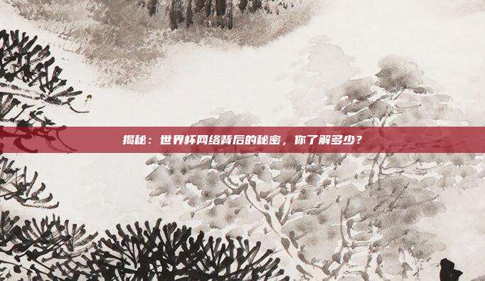 揭秘:世界杯网络背后的秘密,你了解多少?