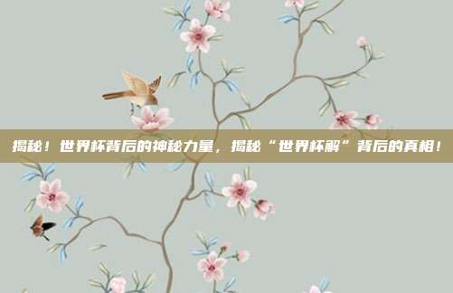 揭秘！世界杯背后的神秘力量，揭秘“世界杯解”背后的真相！