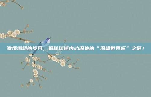 激情燃烧的岁月，揭秘球迷内心深处的“渴望世界杯”之谜！