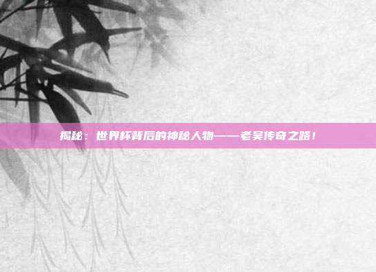 揭秘：世界杯背后的神秘人物——老吴传奇之路！
