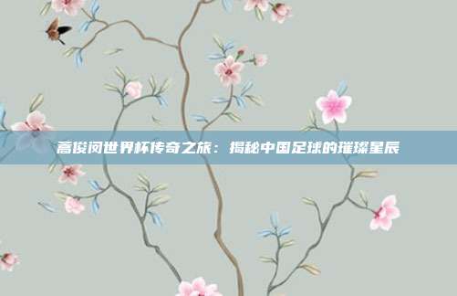 蒿俊闵世界杯传奇之旅：揭秘中国足球的璀璨星辰