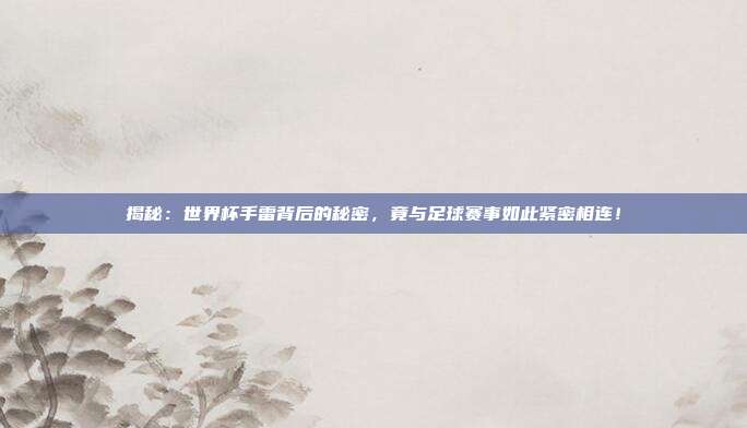 揭秘:世界杯手雷背后的秘密,竟与足球赛事如此紧密相连!