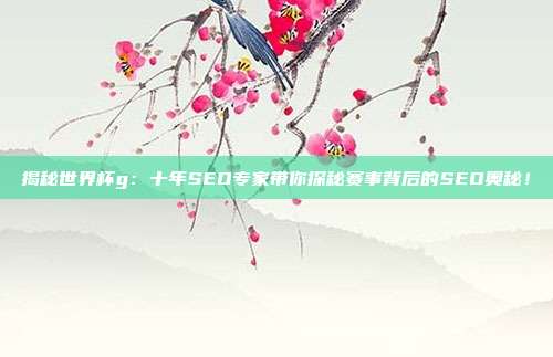 揭秘世界杯g:十年SEO专家带你探秘赛事背后的SEO奥秘!