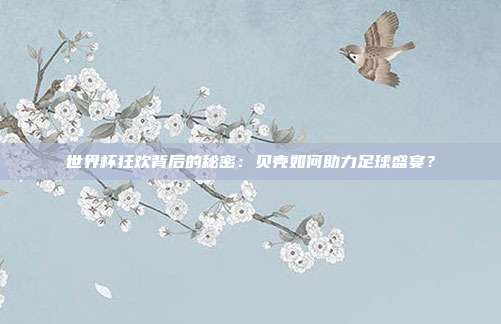 世界杯狂欢背后的秘密：贝壳如何助力足球盛宴？