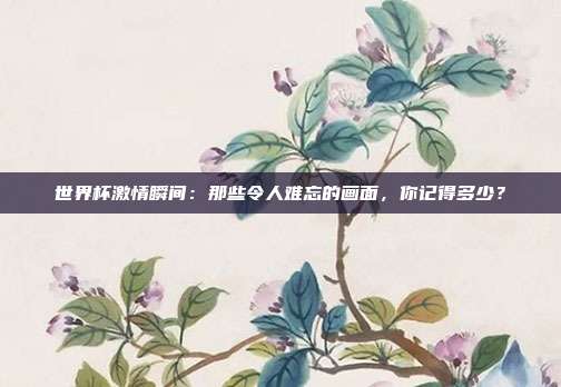 世界杯激情瞬间：那些令人难忘的画面，你记得多少？