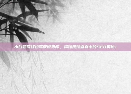 小白如何轻松驾驭世界杯,揭秘足球盛宴中的SEO奥秘!
