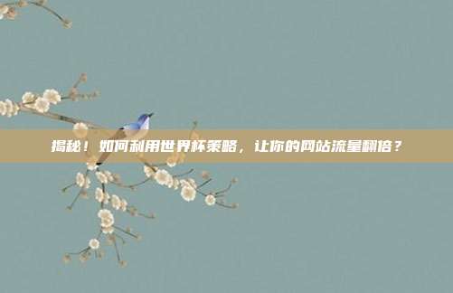 揭秘！如何利用世界杯策略，让你的网站流量翻倍？