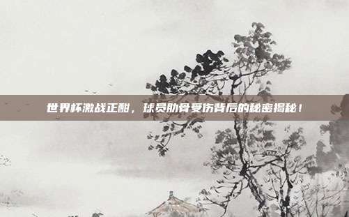 世界杯激战正酣，球员肋骨受伤背后的秘密揭秘！