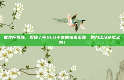 世界杯得胜：揭秘十年SEO专家的独家策略，助力球队夺冠之路！