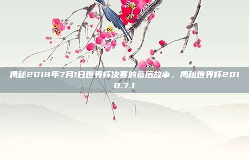 揭秘2018年7月1日世界杯决赛的幕后故事，揭秘世界杯2018.7.1