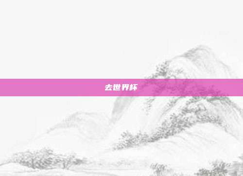 去世界杯