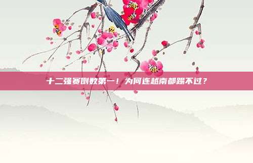 十二强赛倒数第一！为何连越南都踢不过？